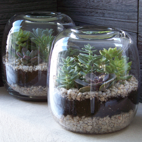 Bioremediation Projects