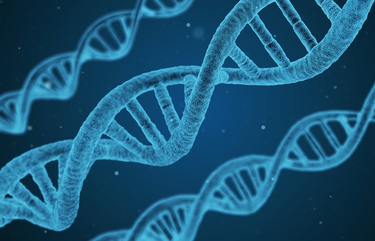 Population Cloning Labs