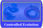 Controlled Evolution