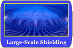 Large-Scale Shielding