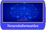 Neuroinformatics
