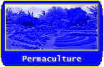 Permaculture